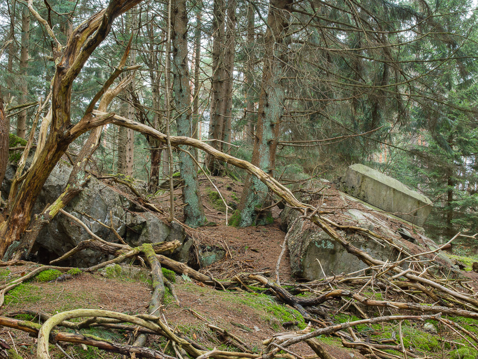 Bunkertrümmer-Westwall